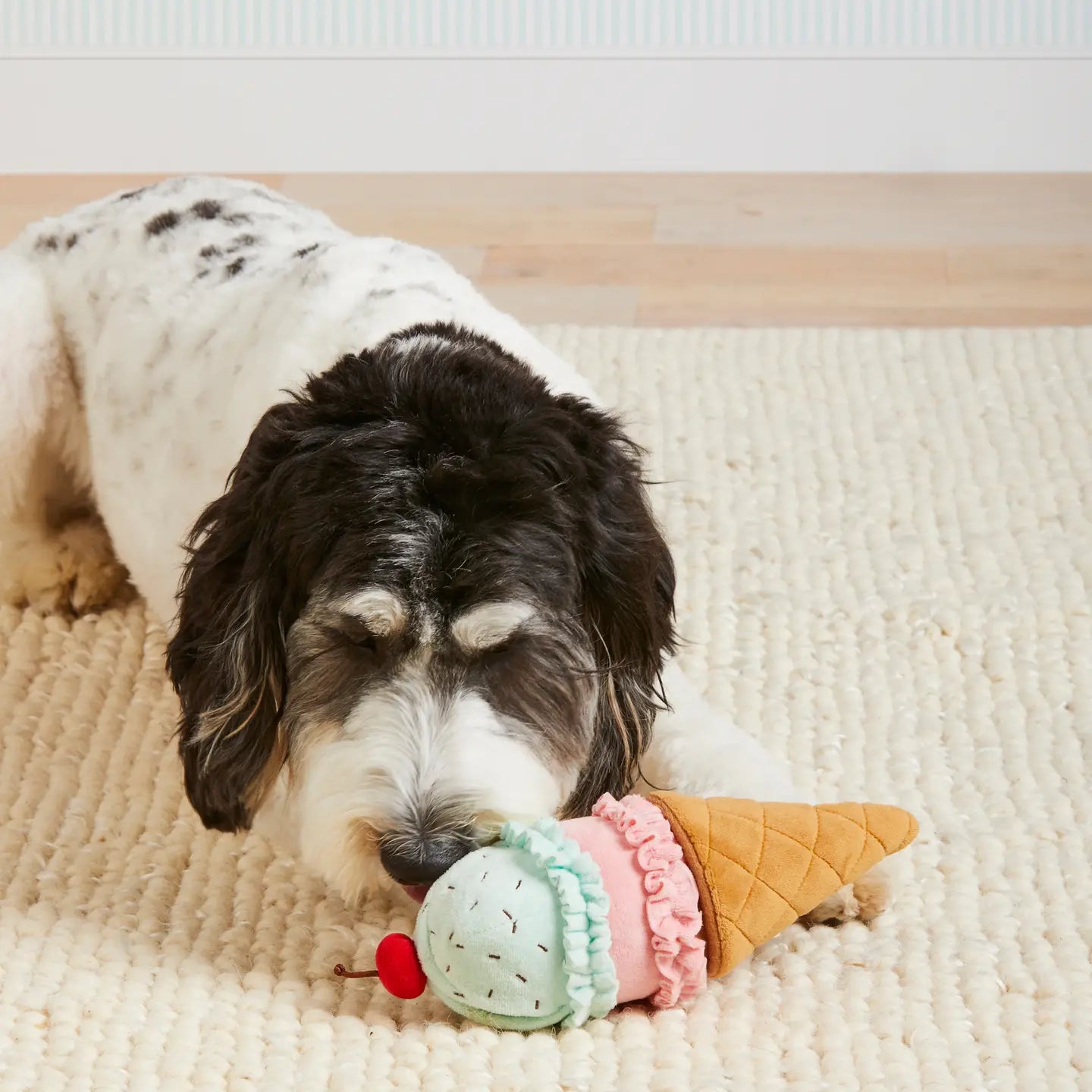 Ice Cream Interactive 2-in-1 Dog Toy