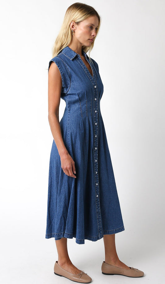 A timeless denim dress with a flattering V-neckline and button-down front for effortless everyday style.