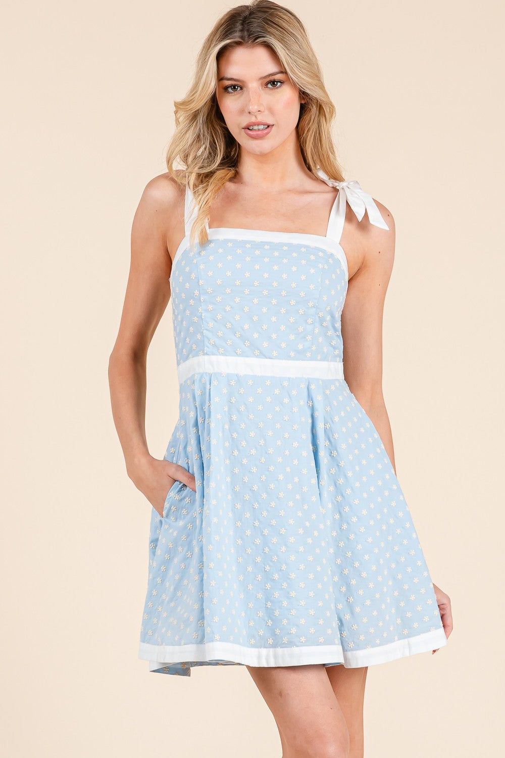 Corinne Embroidered Mini Dress