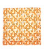 Game Day Print Bandana