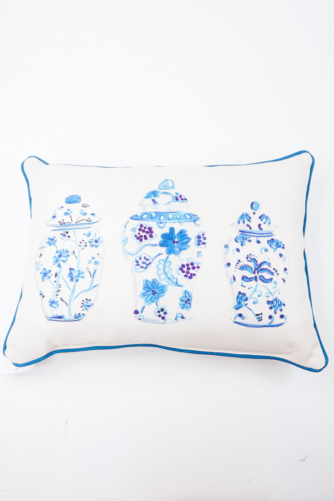 Blue & White Chinoiserie Pillows