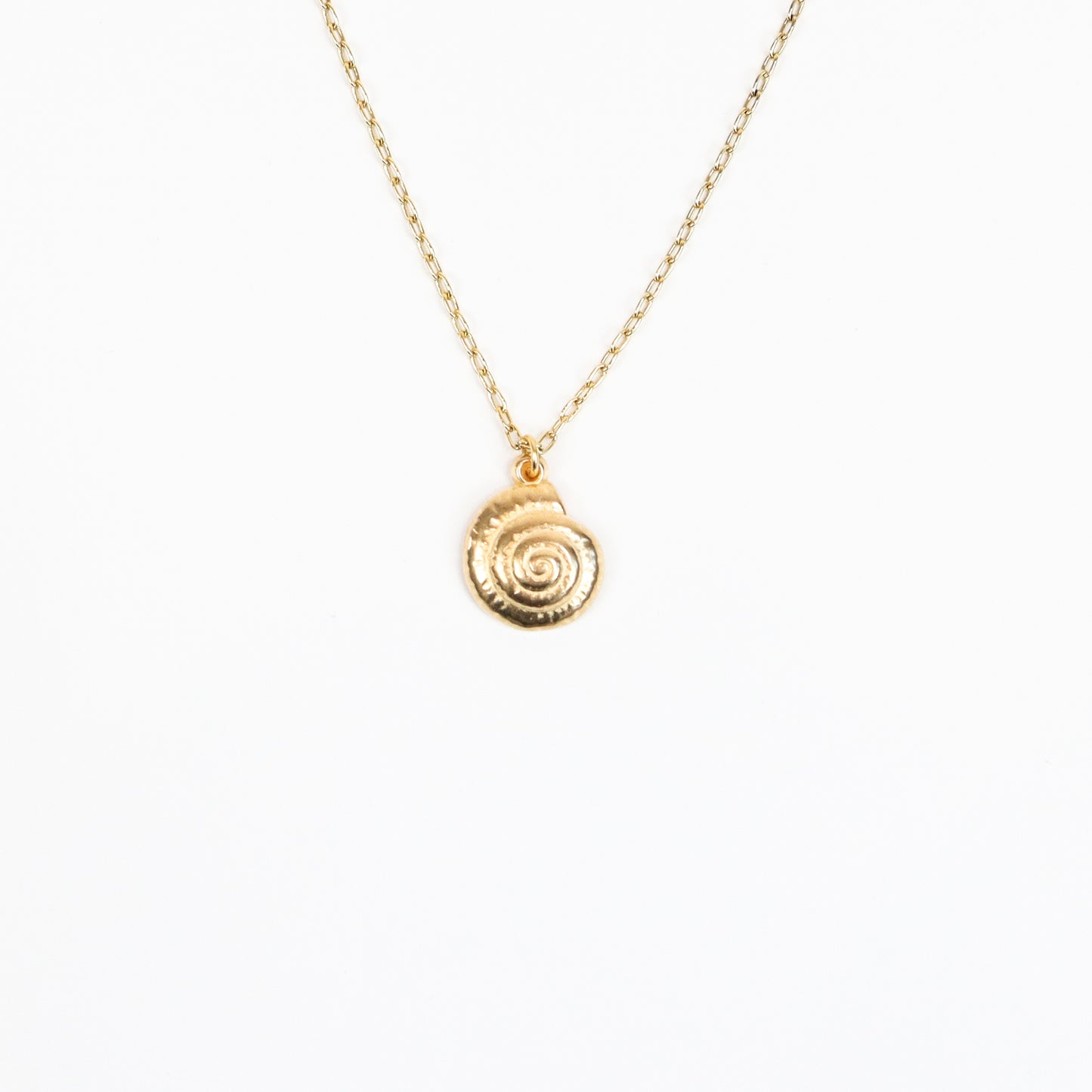 A handcrafted 22K gold-plated necklace featuring a delicately textured nautilus shell pendant, suspended on a fine gold chain, capturing the elegance of oceanic beauty.