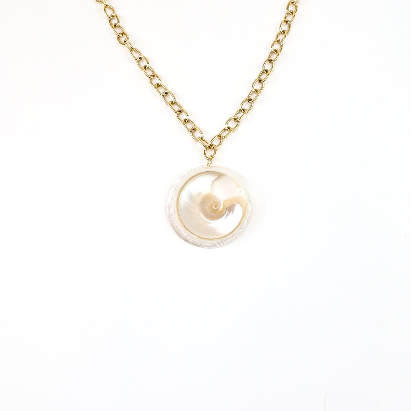 Gold Chain Nautilus Shell Pendant Necklace