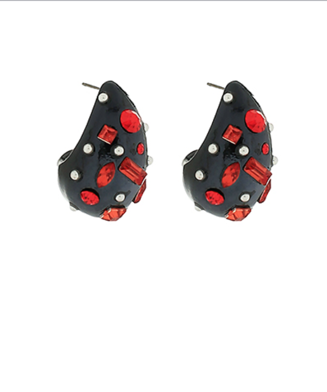 Rocking Team Colors Earrings