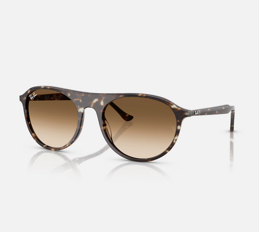 Ray Ban RB2215 Sunglasses