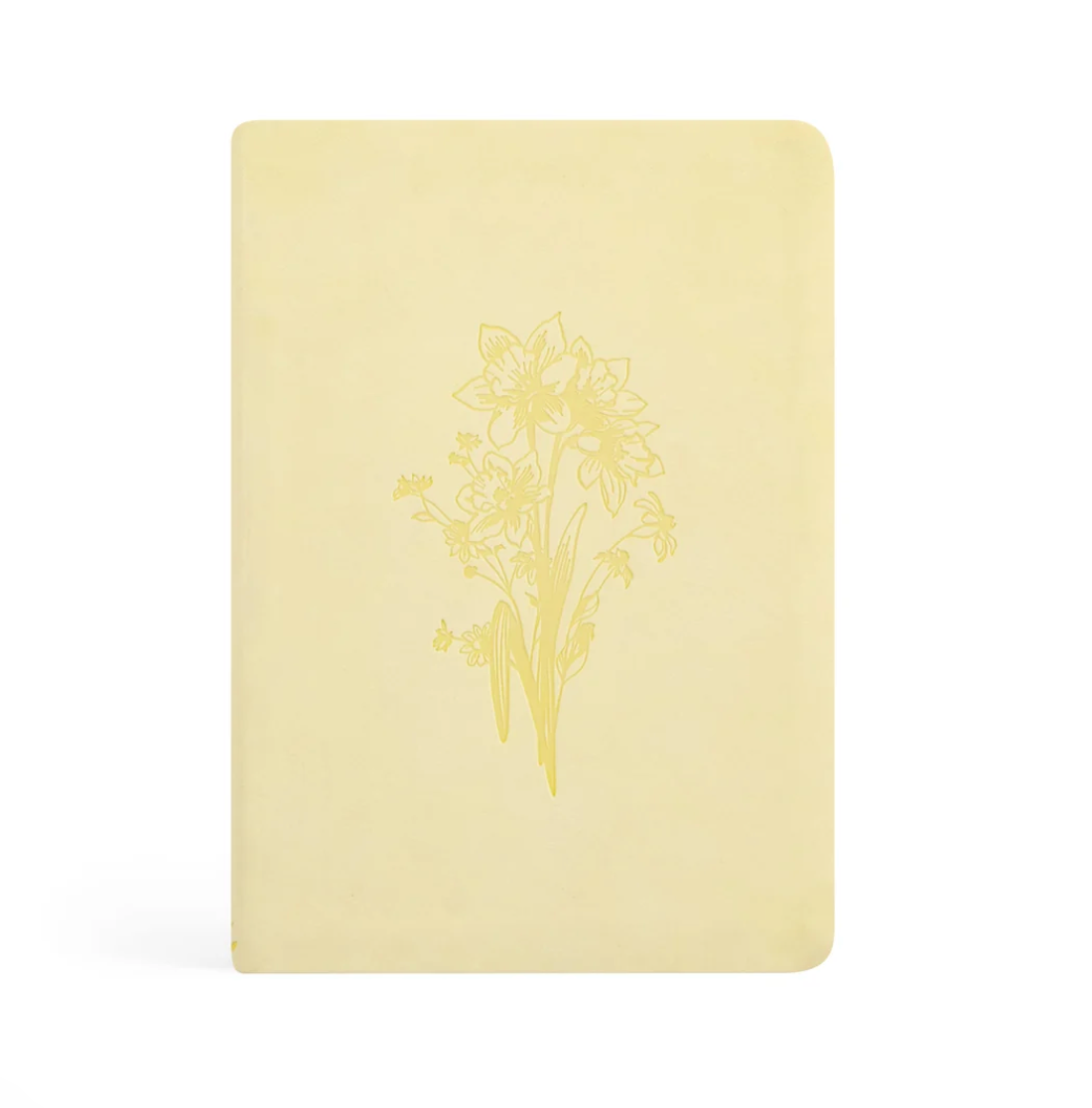 Belfast Notebook