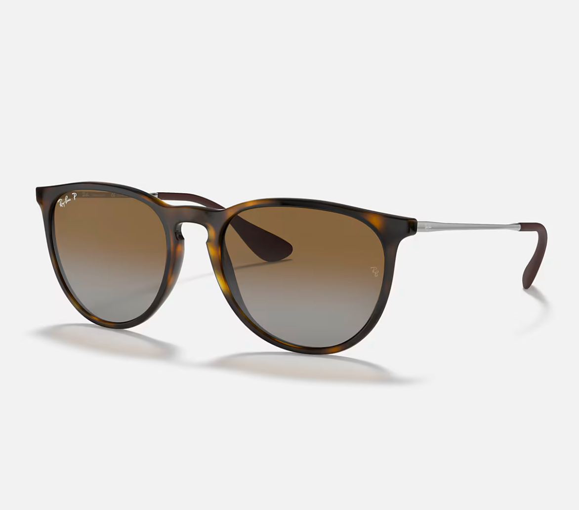 Ray Ban Erika Sunglasses