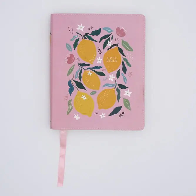 Niv Journal the Word Bible