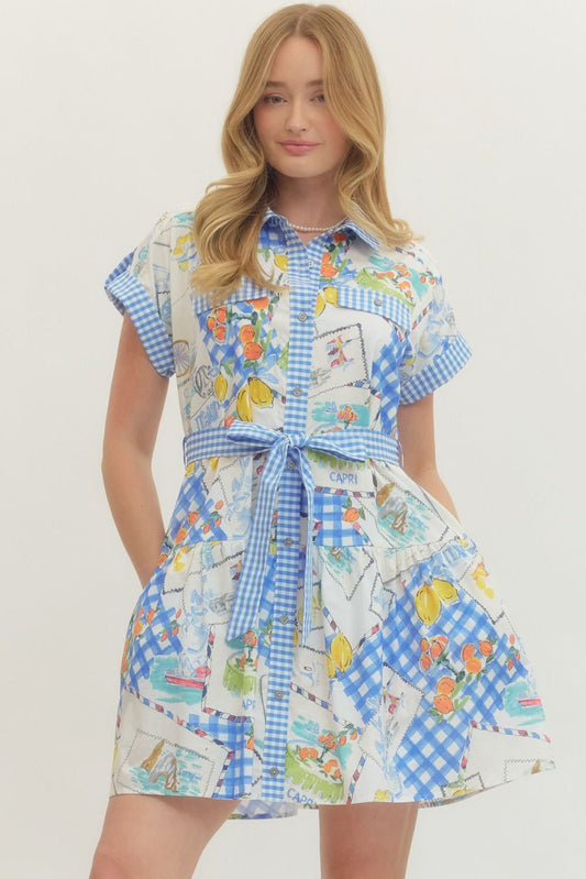 Remi Mixed Print Belted Mini Dress
