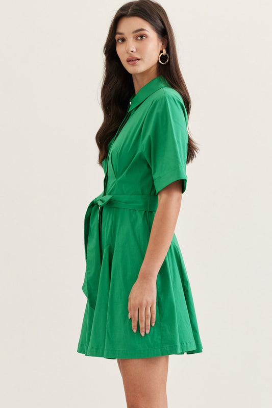 The Brooke Collared Tie Waist Mini Dress