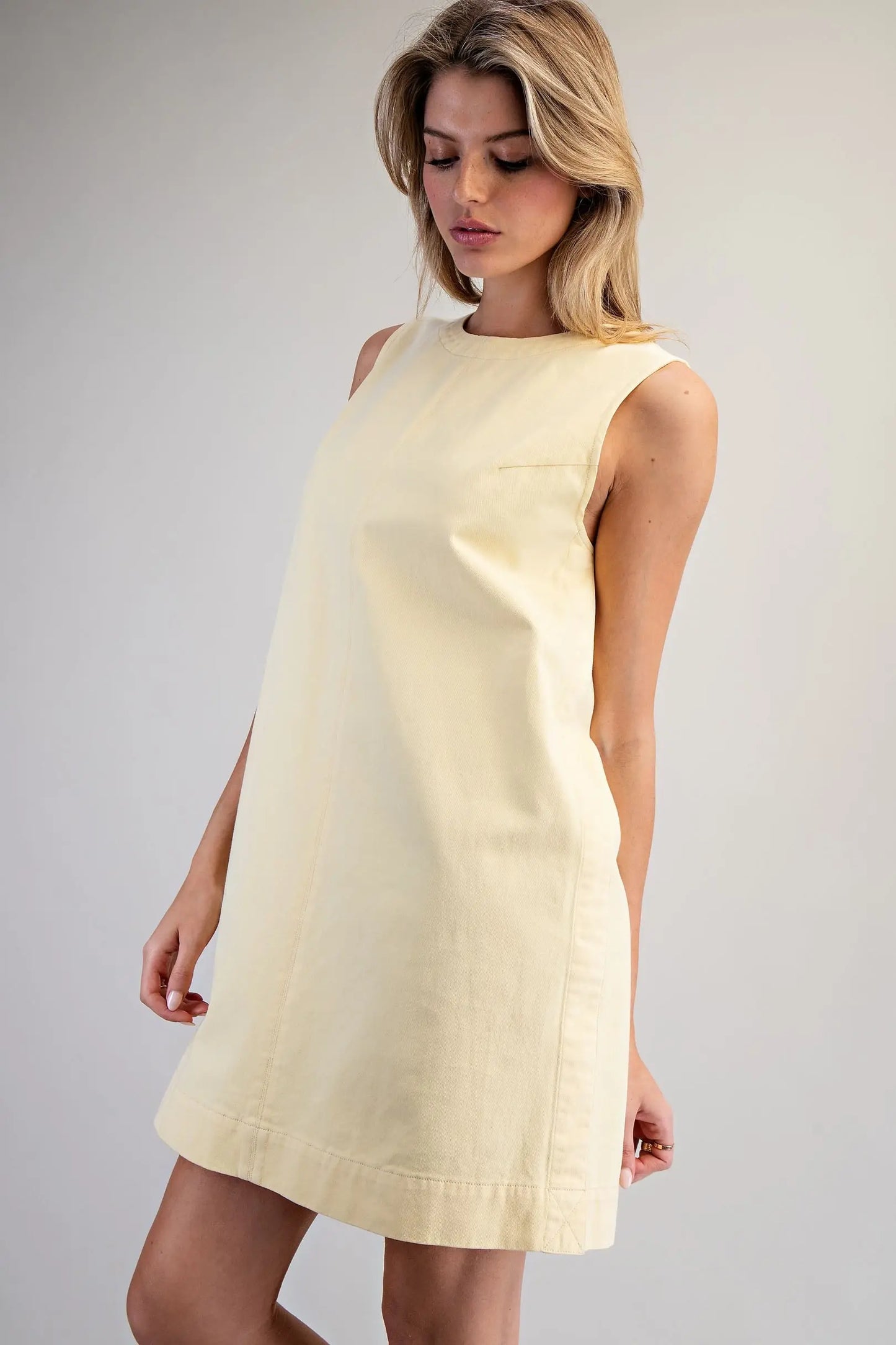 Sleeveless Back Zip Mini Shift Dress