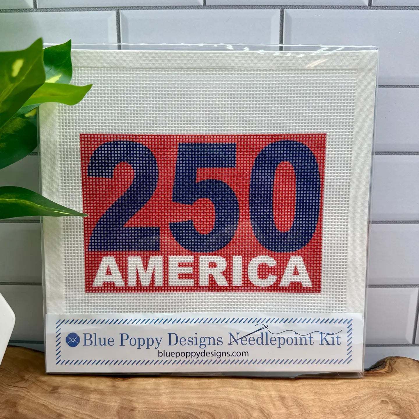 Needlepoint Kit
