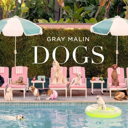 Gray Malin: Dogs Book