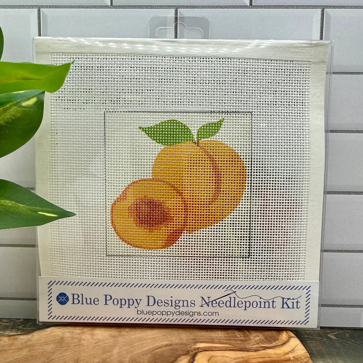 Needlepoint Kit