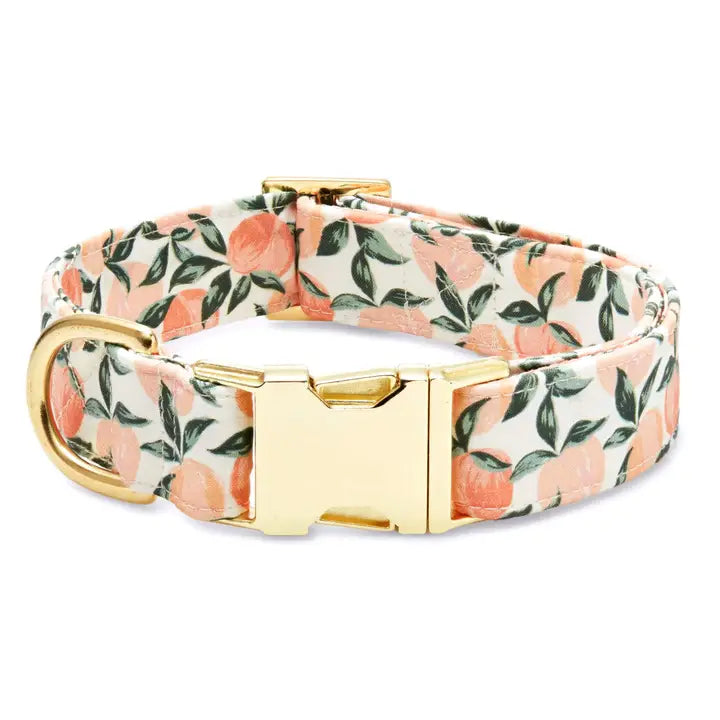 Floral Dog Collar