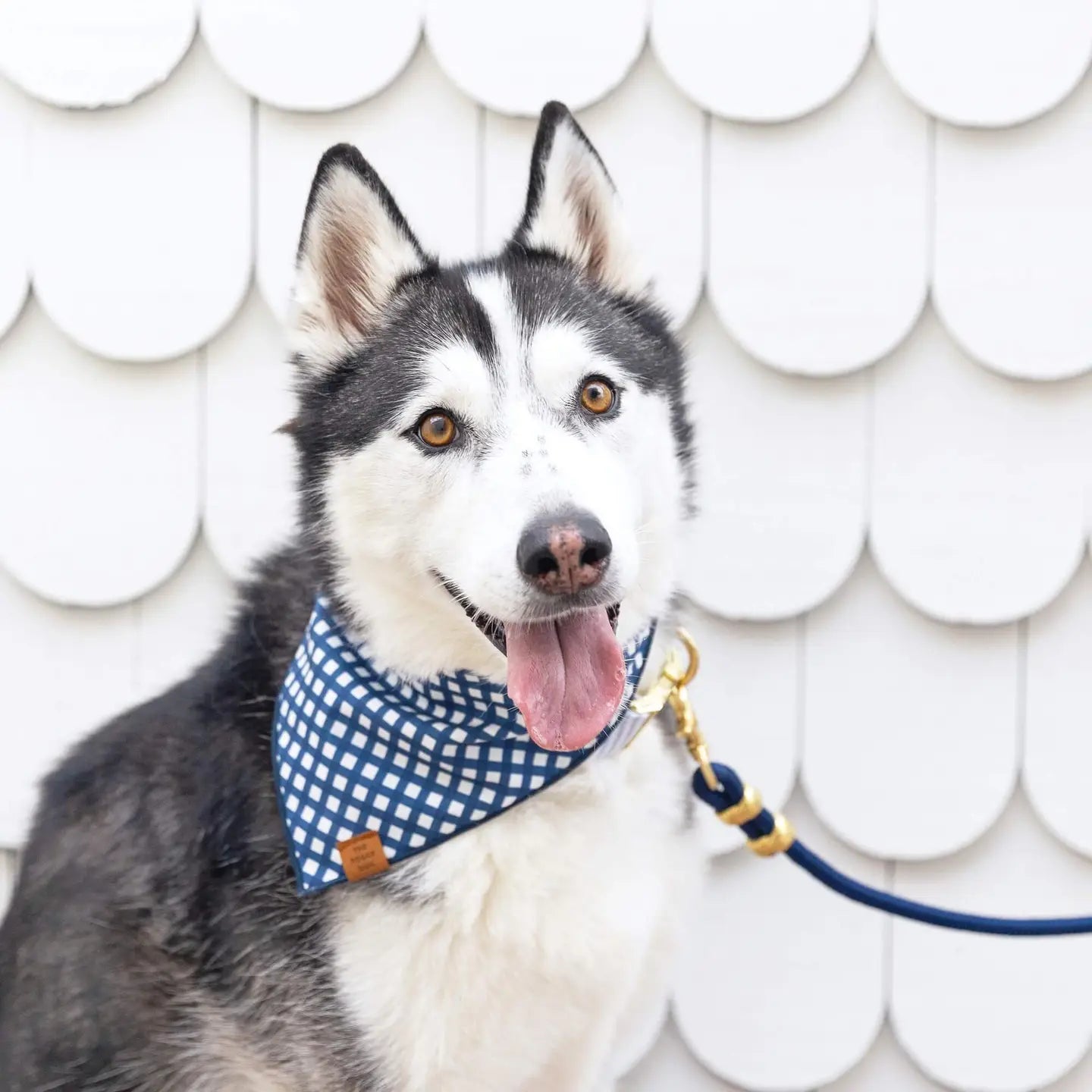 Marine Rope Dog Leash