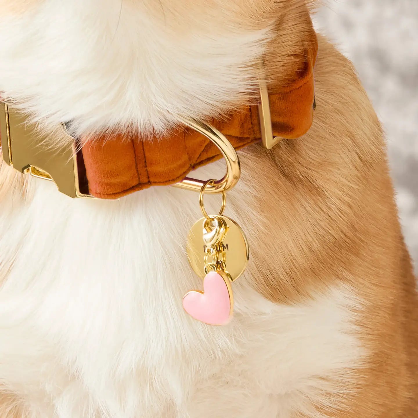 Dog Collar Charm