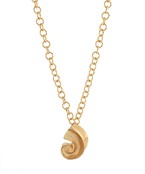 A gold chain necklace with a sculpted seashell pendant, inspired by the beauty of the ocean, perfect for beach lovers and everyday wear.