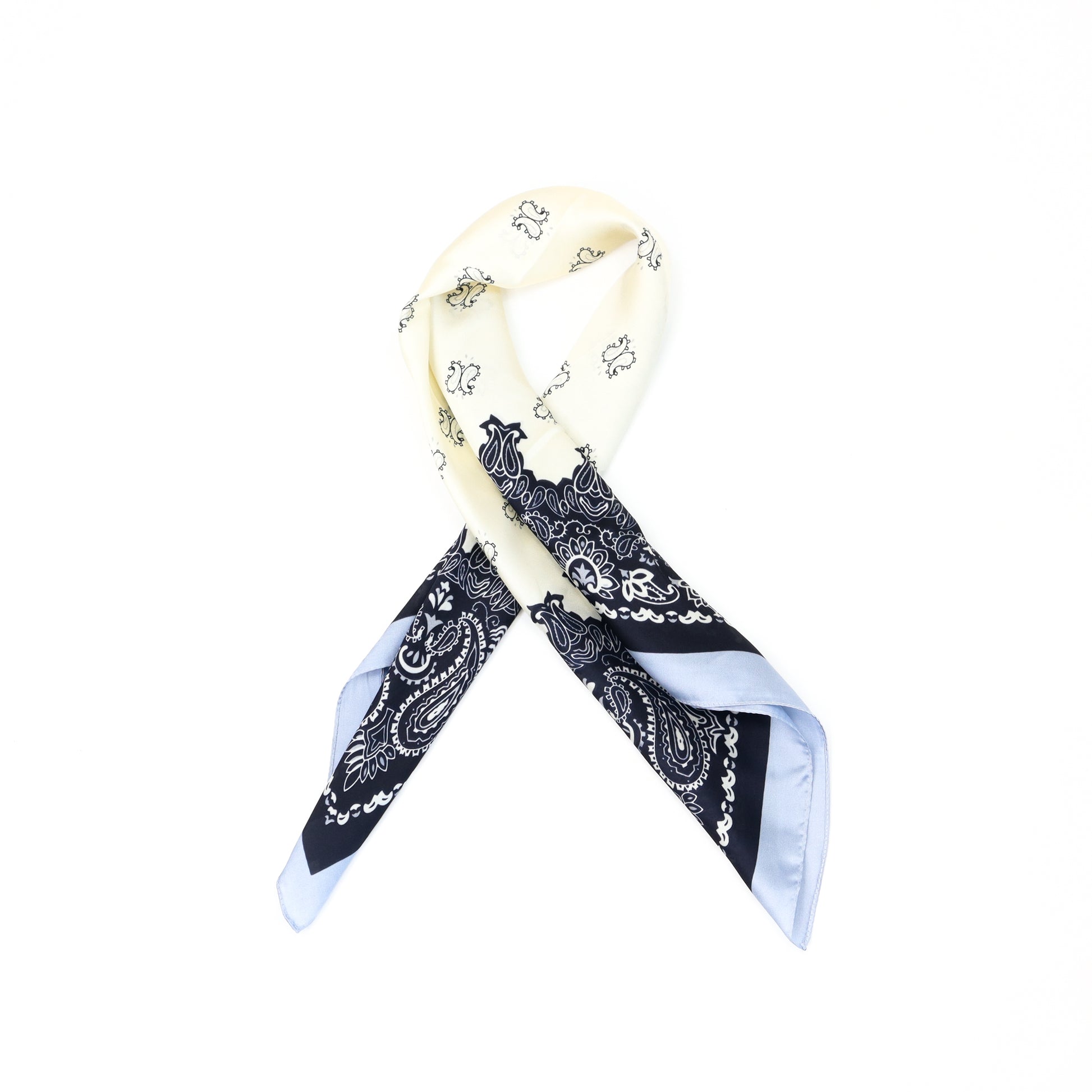 Blue Paisley Scarf