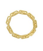 Gold-tone rectangular link bracelet titled "Bring Home the Gold Bracelet" 