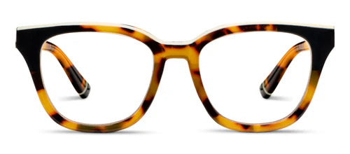 Tokyo Tortoise/Black