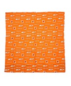 Game Day Print Bandana