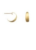 See It All Earrings