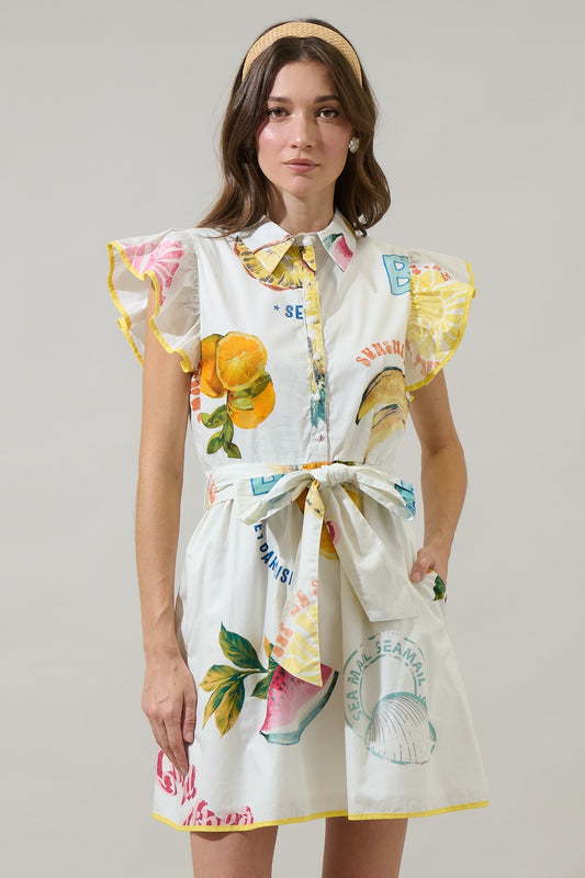 A breezy white shirt dress with a colorful fruit and market-inspired print, featuring flutter sleeves, a button-up front, and a self-tie waist belt for a flattering and playful summer look.
