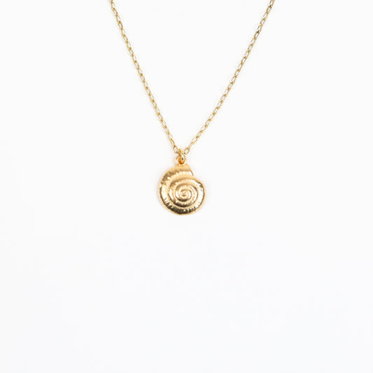  A handcrafted 22K gold-plated necklace featuring a delicately textured nautilus shell pendant, suspended on a fine gold chain, capturing the elegance of oceanic beauty.