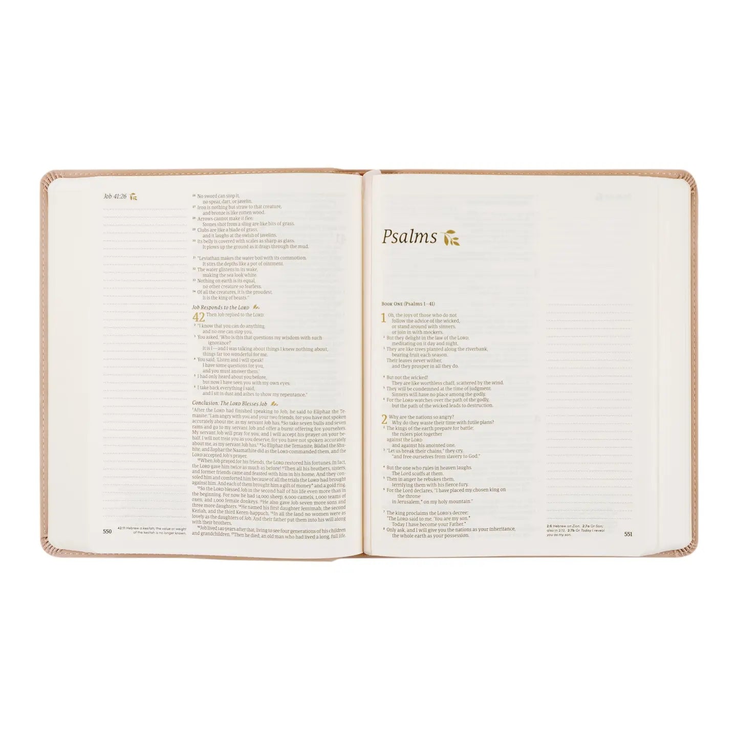 Notetaking Bible - Shiloh