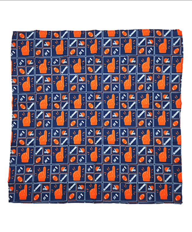 Game Day Print Bandana
