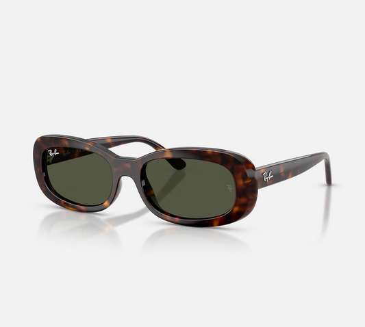 Ray Ban RB2221 Sunglasses