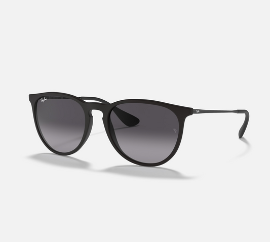 Ray Ban Erika Sunglasses