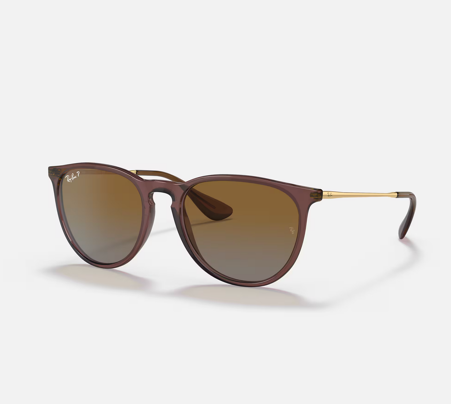 Ray Ban Erika Sunglasses