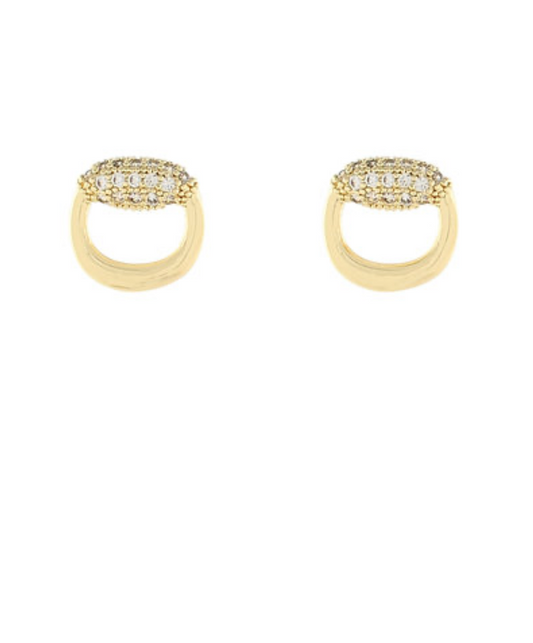 Celeste Crystal Oval Hoop Earrings
