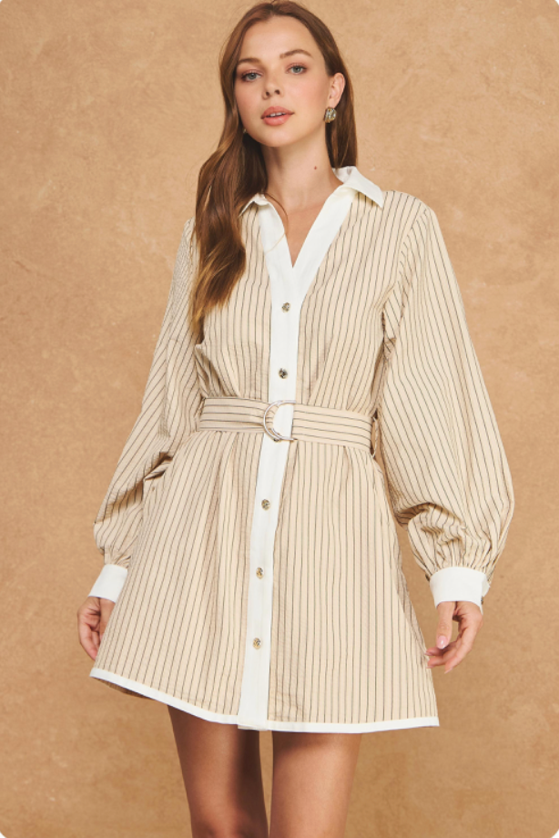Monroe Stripe Shirt Dress
