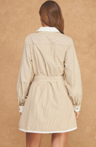 Monroe Stripe Shirt Dress