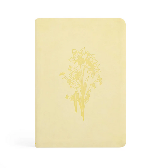 Belfast Notebook