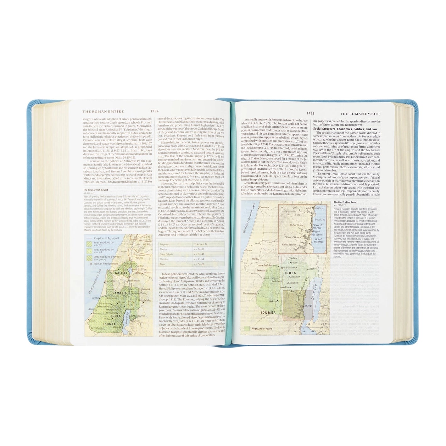 Bethany Study Bible with sky-blue vegan leather cover, gold butterfly design, and gold corner detailing