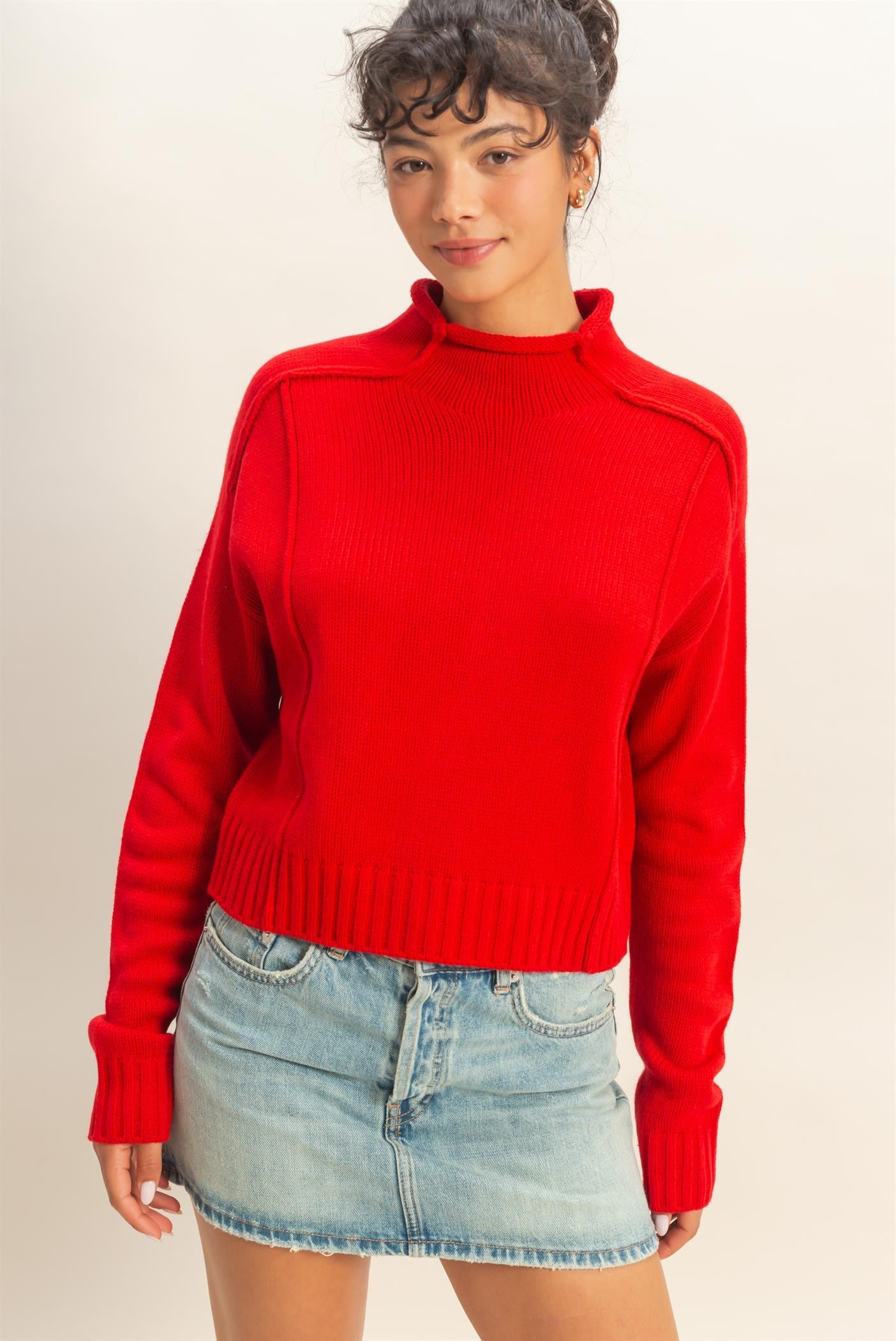 A cozy roll-neck sweater with seam detail and a relaxed fit for versatile, everyday styling.