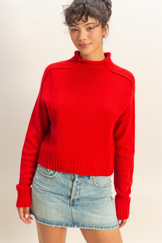 A cozy roll-neck sweater with seam detail and a relaxed fit for versatile, everyday styling.
