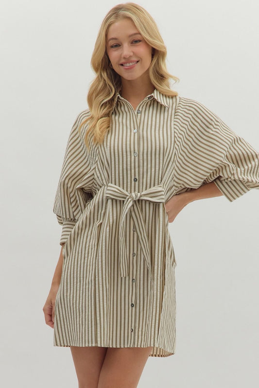 Carrie Belted Puff Sleeve Dress