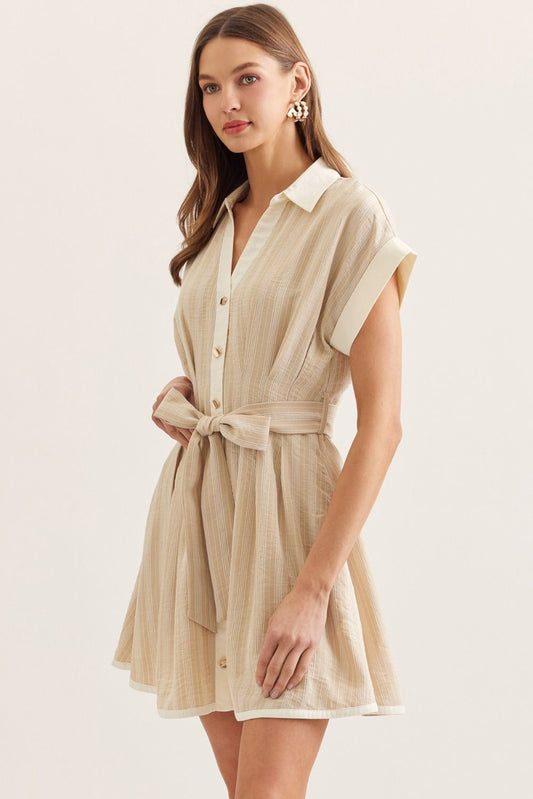 Danielle Striped Belted Mini Dress