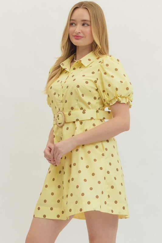 The Stephanie Polka Dot Mini Dress