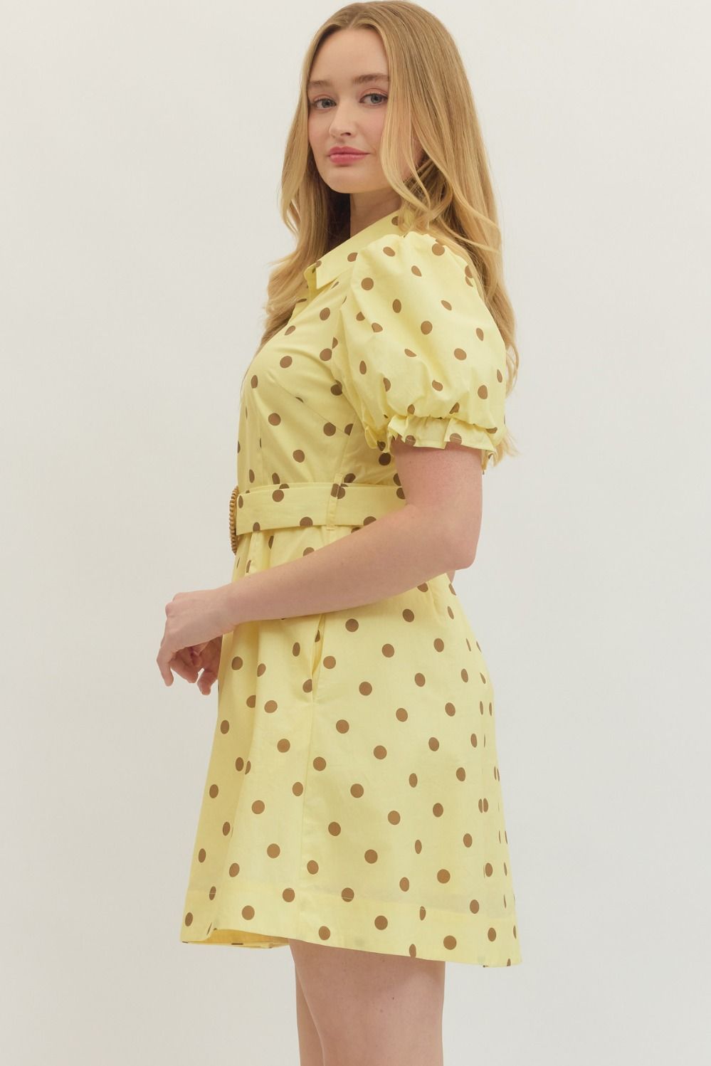 The Stephanie Polka Dot Mini Dress