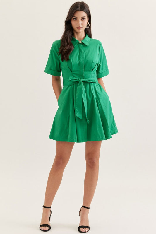 The Brooke Collared Tie Waist Mini Dress