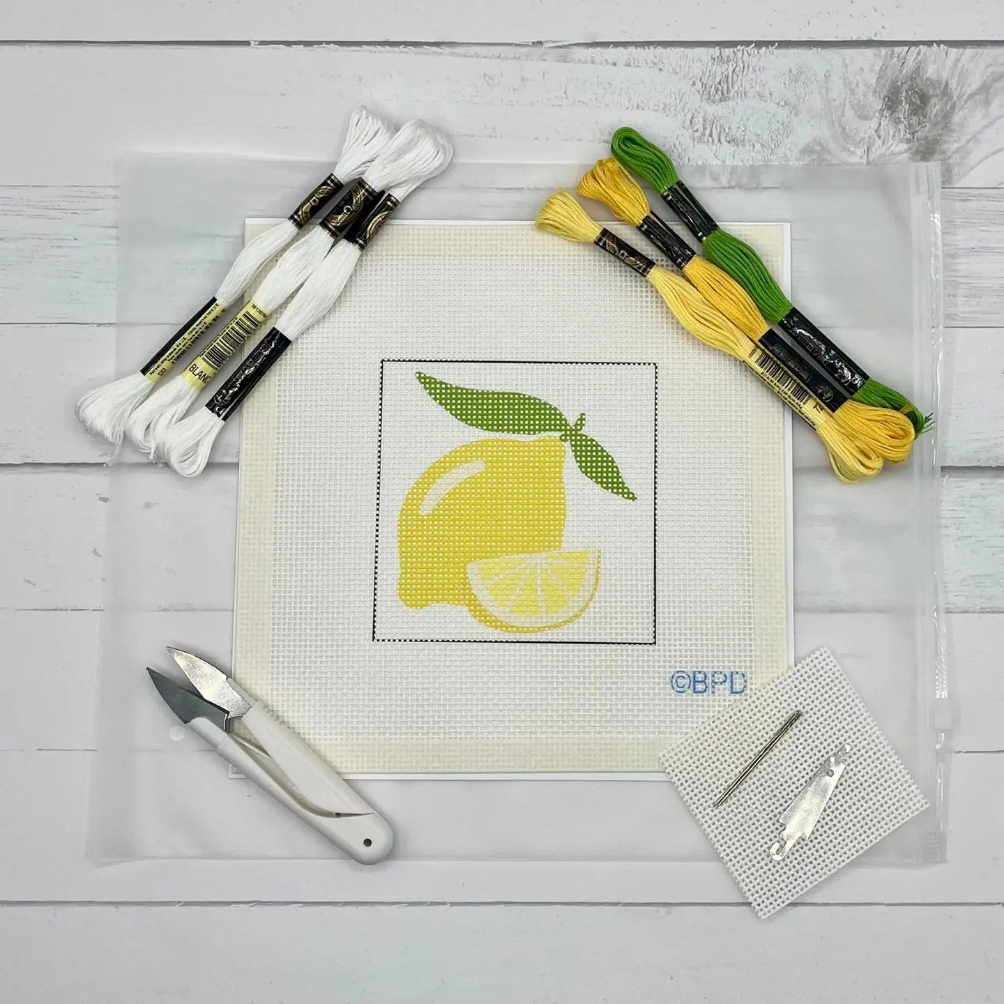 Needlepoint Kit