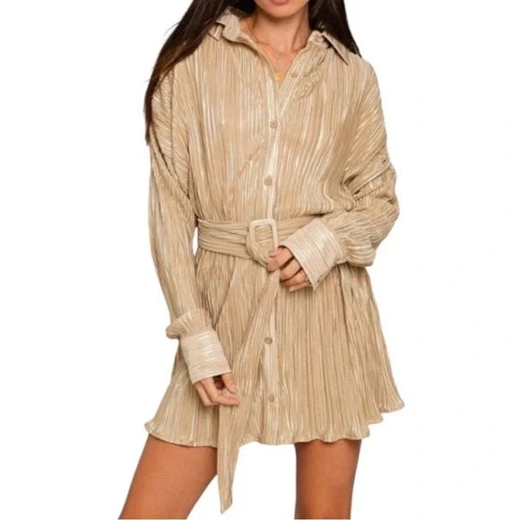 Alexis Pleated Shirt Dress